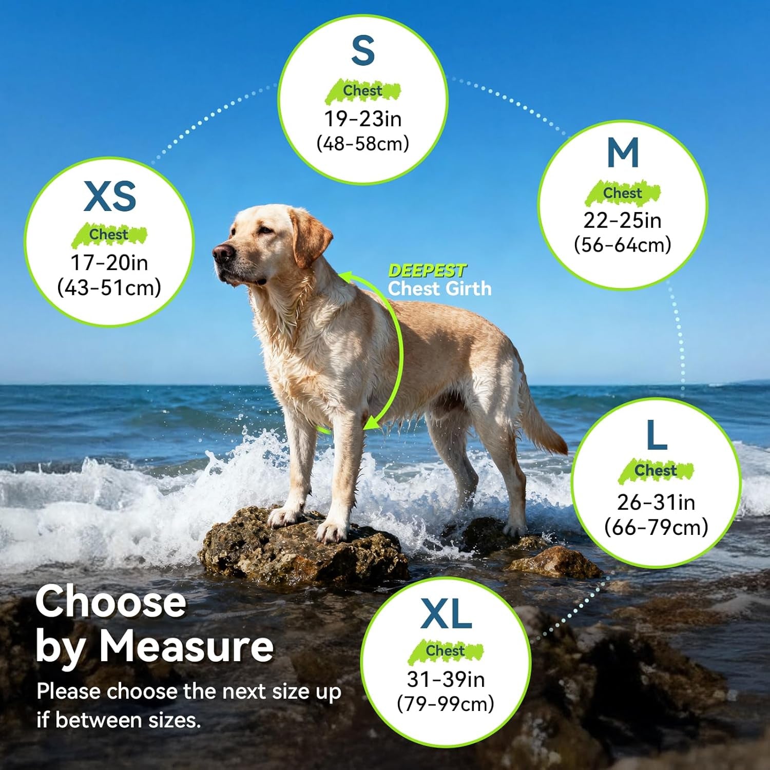 Stylish & Safe Dog Life Vest - XS Blue Sports Swim Jacket with Leash Ring & Handle for Swimming & Boating - Adjustable & Reflective for Puppies and Small Dogs